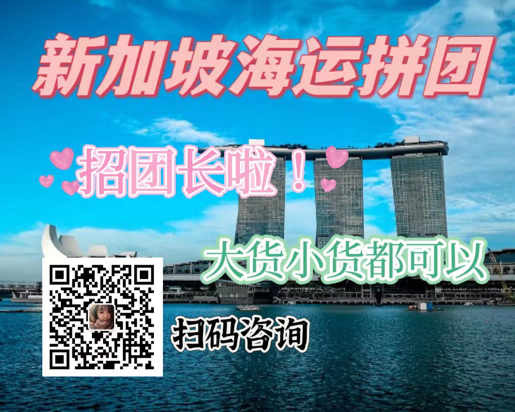 新加坡海运拼团.jpg